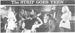 Strip Article crop